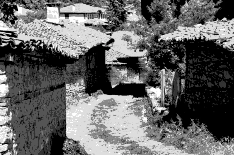 the fool, short story by alyce elmore